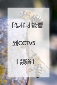 怎样才能看到CCTv5十频道