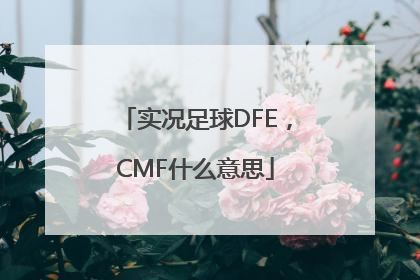 实况足球DFE，CMF什么意思