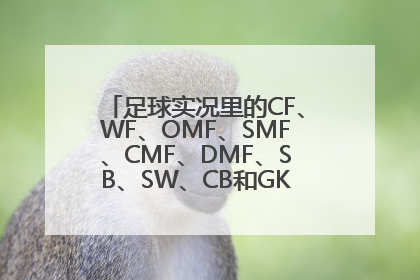 足球实况里的CF、WF、OMF、SMF、CMF、DMF、SB、SW、CB和GK分别是什么意思？