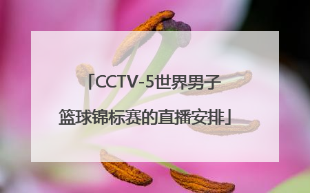 CCTV-5世界男子篮球锦标赛的直播安排