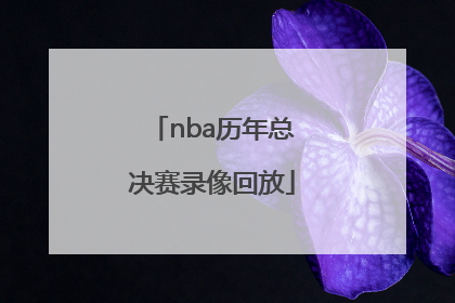 「nba历年总决赛录像回放」2004年NBA总决赛录像回放